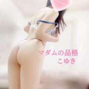 ヒメ日記 2026/03/08 17:08 投稿 こゆき マダムの品格