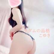 ヒメ日記 2026/03/10 05:32 投稿 こゆき マダムの品格