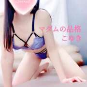 ヒメ日記 2026/03/13 07:38 投稿 こゆき マダムの品格