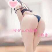 ヒメ日記 2026/03/15 03:00 投稿 こゆき マダムの品格