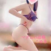 ヒメ日記 2026/03/16 07:48 投稿 こゆき マダムの品格