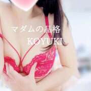 ヒメ日記 2026/03/26 17:45 投稿 こゆき マダムの品格