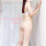 ヒメ日記 2026/03/30 09:45 投稿 こゆき マダムの品格