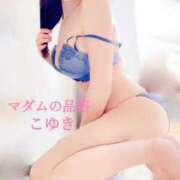 ヒメ日記 2026/03/31 08:15 投稿 こゆき マダムの品格