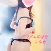 ヒメ日記 2026/03/31 09:45 投稿 こゆき マダムの品格