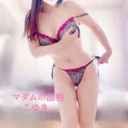 ヒメ日記 2026/04/03 08:30 投稿 こゆき マダムの品格