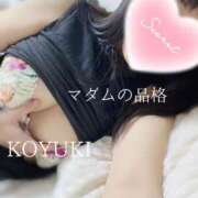 ヒメ日記 2026/04/06 03:47 投稿 こゆき マダムの品格