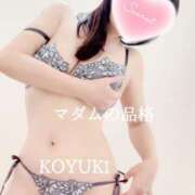 ヒメ日記 2026/04/15 05:55 投稿 こゆき マダムの品格