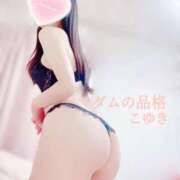 こゆき おはようございます☀️ マダムの品格