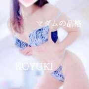 ヒメ日記 2026/04/22 07:31 投稿 こゆき マダムの品格