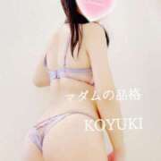 ヒメ日記 2026/04/22 12:45 投稿 こゆき マダムの品格