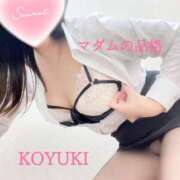 ヒメ日記 2026/04/26 03:30 投稿 こゆき マダムの品格