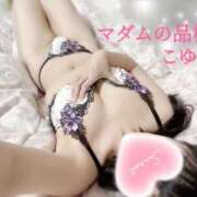 ヒメ日記 2026/04/26 07:17 投稿 こゆき マダムの品格