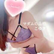 ヒメ日記 2026/05/15 03:31 投稿 こゆき マダムの品格
