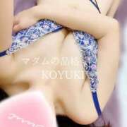 ヒメ日記 2026/05/31 08:44 投稿 こゆき マダムの品格
