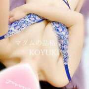 ヒメ日記 2026/06/29 08:34 投稿 こゆき マダムの品格