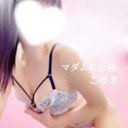 ヒメ日記 2026/06/30 07:35 投稿 こゆき マダムの品格