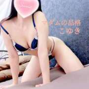 ヒメ日記 2026/07/06 02:00 投稿 こゆき マダムの品格