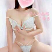ヒメ日記 2026/07/14 01:30 投稿 こゆき マダムの品格