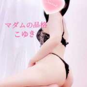 ヒメ日記 2026/07/14 22:25 投稿 こゆき マダムの品格
