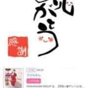 ヒメ日記 2025/03/16 19:50 投稿 川上さつき 五十路マダムエクスプレス豊橋店（カサブランカグループ）