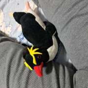 ヒメ日記 2025/06/02 22:14 投稿 川上さつき 五十路マダムエクスプレス豊橋店（カサブランカグループ）