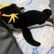 ヒメ日記 2025/06/03 22:18 投稿 川上さつき 五十路マダムエクスプレス豊橋店（カサブランカグループ）