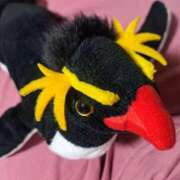 ヒメ日記 2025/06/05 22:22 投稿 川上さつき 五十路マダムエクスプレス豊橋店（カサブランカグループ）