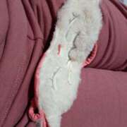 ヒメ日記 2025/06/15 22:24 投稿 川上さつき 五十路マダムエクスプレス豊橋店（カサブランカグループ）