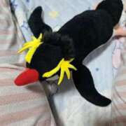 ヒメ日記 2025/08/26 22:18 投稿 川上さつき 五十路マダムエクスプレス豊橋店（カサブランカグループ）