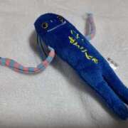 ヒメ日記 2025/09/12 16:32 投稿 川上さつき 五十路マダムエクスプレス豊橋店（カサブランカグループ）