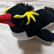 ヒメ日記 2025/11/09 22:12 投稿 川上さつき 五十路マダムエクスプレス豊橋店（カサブランカグループ）