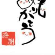 ヒメ日記 2025/11/17 17:04 投稿 川上さつき 五十路マダムエクスプレス豊橋店（カサブランカグループ）