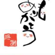 ヒメ日記 2025/11/29 18:46 投稿 川上さつき 五十路マダムエクスプレス豊橋店（カサブランカグループ）