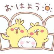 ヒメ日記 2026/01/28 06:44 投稿 川上さつき 五十路マダムエクスプレス豊橋店（カサブランカグループ）