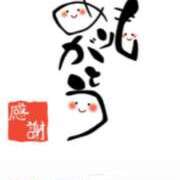 ヒメ日記 2026/03/25 16:14 投稿 川上さつき 五十路マダムエクスプレス豊橋店（カサブランカグループ）