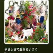 ヒメ日記 2024/12/14 09:04 投稿 えりな 水戸人妻花壇