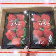 ヒメ日記 2024/12/24 21:32 投稿 えりな 水戸人妻花壇