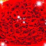 ヒメ日記 2025/01/07 21:31 投稿 えりな 水戸人妻花壇