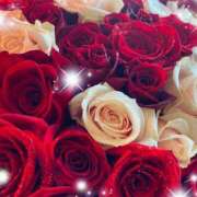 ヒメ日記 2025/01/08 15:24 投稿 えりな 水戸人妻花壇