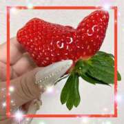 ヒメ日記 2025/01/09 13:49 投稿 えりな 水戸人妻花壇