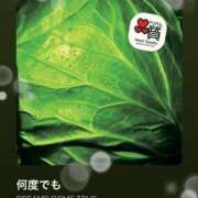 ヒメ日記 2025/02/03 09:30 投稿 えりな 水戸人妻花壇