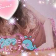 ヒメ日記 2025/03/18 10:30 投稿 えりな 水戸人妻花壇