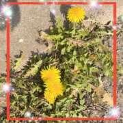 ヒメ日記 2025/03/23 23:30 投稿 えりな 水戸人妻花壇