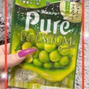 ヒメ日記 2025/04/02 08:30 投稿 えりな 水戸人妻花壇