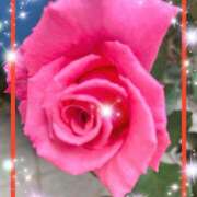 ヒメ日記 2025/04/30 11:03 投稿 えりな 水戸人妻花壇