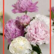 ヒメ日記 2025/05/13 19:43 投稿 えりな 水戸人妻花壇