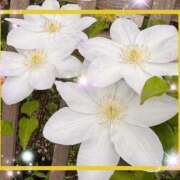 ヒメ日記 2025/05/14 13:30 投稿 えりな 水戸人妻花壇