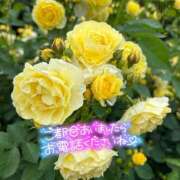 ヒメ日記 2025/05/15 07:55 投稿 えりな 水戸人妻花壇