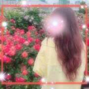 ヒメ日記 2025/06/02 10:01 投稿 えりな 水戸人妻花壇